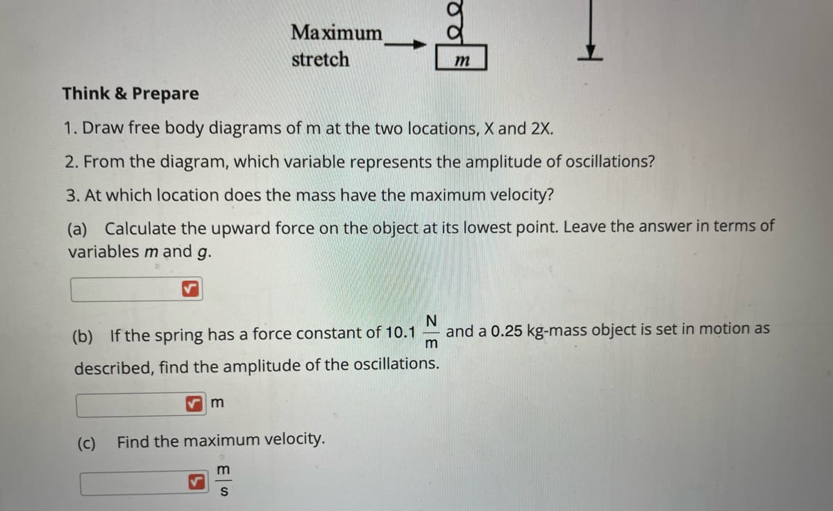 Maximum
stretch
m
Think & Prepare
1. Draw free body diagrams of m at the two locations, X and 2X.
2. From the diagram, which variable represents the amplitude of oscillations?
3. At which location does the mass have the maximum velocity?
(a) Calculate the upward force on the object at its lowest point. Leave the answer in terms of
variables m and g.
(b) If the spring has a force constant of 10.1
and a 0.25 kg-mass object is set in motion as
m
described, find the amplitude of the oscillations.
(c)
Find the maximum velocity.
