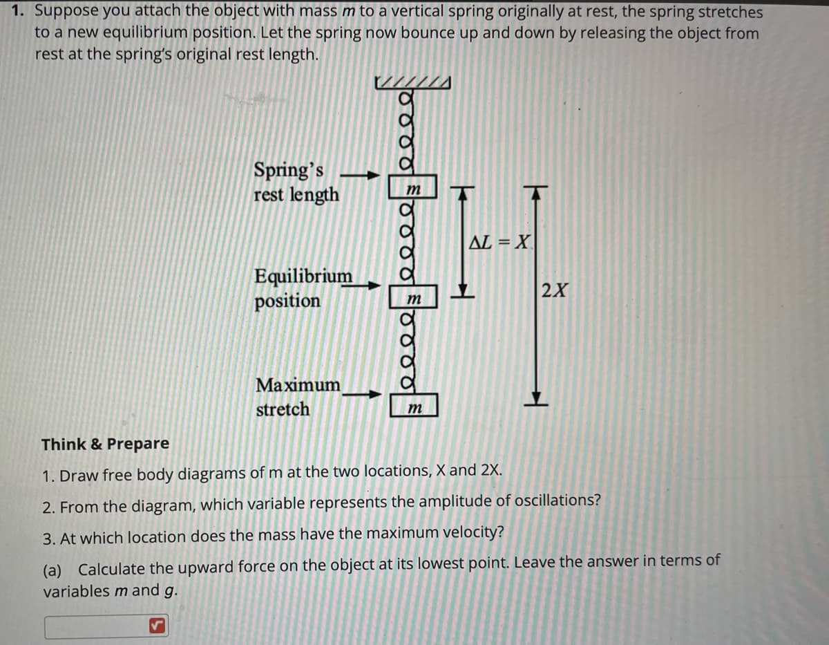 1. Suppose you attach the object with mass m to a vertical spring originally at rest, the spring stretches
to a new equilibrium position. Let the spring now bounce up and down by releasing the object from
rest at the spring's original rest length.
Spring's
rest length
AL = X.
Equilibrium
position
2X
m
Maximum
stretch
m
Think & Prepare
1. Draw free body diagrams of m at the two locations, X and 2X.
2. From the diagram, which variable represents the amplitude of oscillations?
3. At which location does the mass have the maximum velocity?
(a) Calculate the upward force on the object at its lowest point. Leave the answer in terms of
variables m and g.
