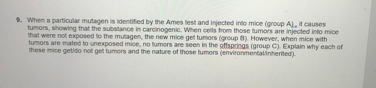 9. When a particular mutagen is identified by the Ames test and injected into mice (group A), it causes
tumors, showing that the substance in carcinogenic. When cells from those tumors are injected into mice
that were not exposed to the mutagen, the new mice get tumors (group B). However, when mice with
tumors are mated to unexposed mice, no tumors are seen in the offsprings (group C). Explain why each of
these mice get/do not get tumors and the nature of those tumors (environmental/inherited).
