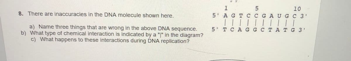 1
10
5' АGT ССG A UGC 3'
8. There are inaccuracies in the DNA molecule shown here.
|| | | | | ||||
5 тCА GGCT АТG 3'
a) Name three things that are wrong in the above DNA sequence.
b) What type of chemical interaction is indicated by a "|" in the diagram?
c) What happens to these interactions during DNA replication?
