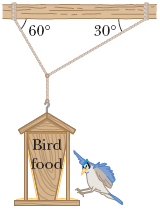 60°
30°
Bird
food
