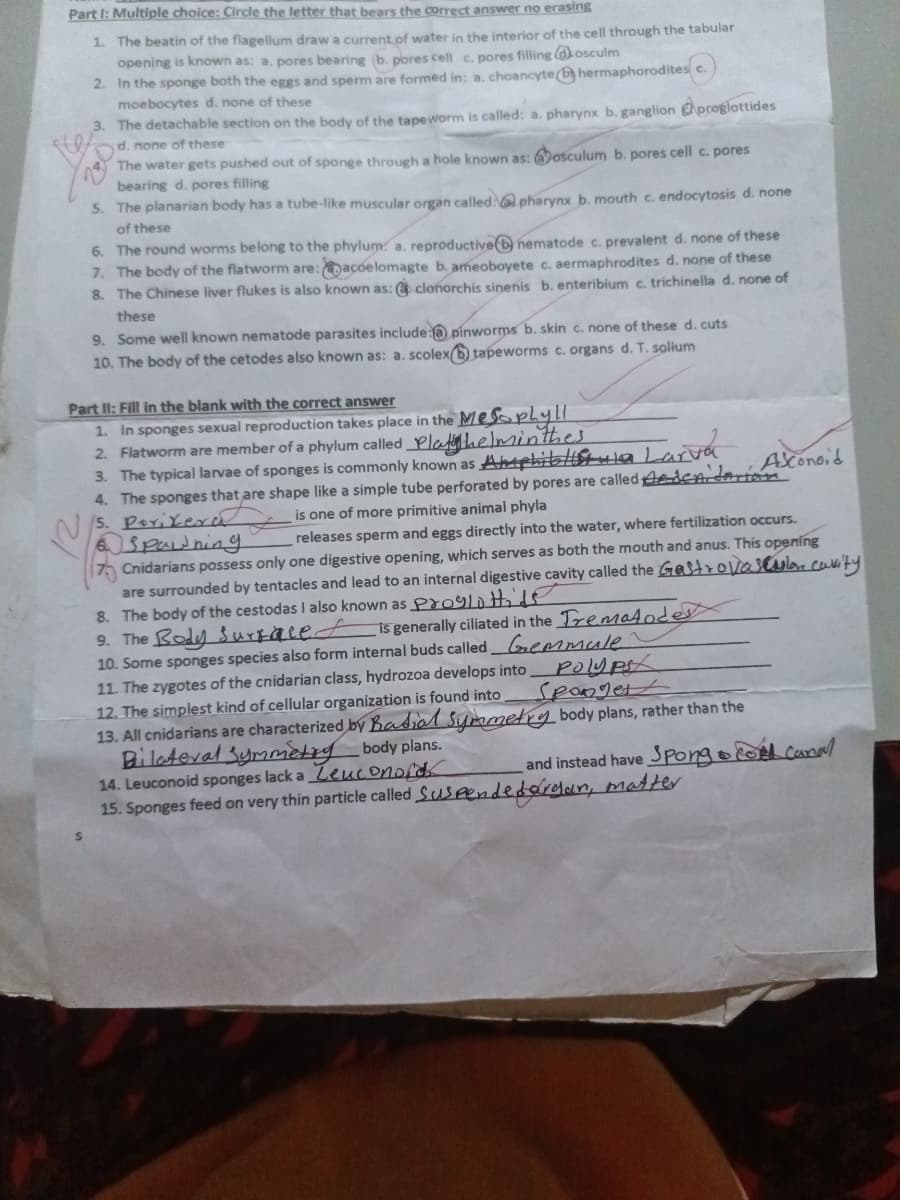 Part I: Multiple choice: Circle the letter that bears the correct answer no erasing
1. The beatin of the flagellum draw a current of water in the interior of the cell through the tabular
opening is known as: a. pores bearing (b. pores cell c. pores filling
2. In the sponge both the eggs and sperm are formed in: a. choancyte
moebocytes d. none of these
osculm
hermaphorodites c.
3. The detachable section on the body of the tapeworm is called: a. pharynx b. ganglion proglottides
d. none of these
The water gets pushed out of sponge through a hole known as: osculum b. pores cell c. pores
bearing d. pores filling
5. The planarian body has a tube-like muscular organ called: pharynx b. mouth c. endocytosis d. none
of these
6. The round worms belong to the phylum: a. reproductive nematode c. prevalent d. none of these
7. The body of the flatworm are: acoelomagte b. ameoboyete c. aermaphrodites d. none of these
8. The Chinese liver flukes is also known as: clonorchis sinenis b. enteribium c. trichinella d. none of
these
9. Some well known nematode parasites include:
10. The body of the cetodes also known as: a. scolex
Part II: Fill in the blank with the correct answer
pinworms b. skin c. none of these d. cuts
tapeworms c. organs d. T. solium
1. In sponges sexual reproduction takes place in the Mesophyll
2. Flatworm are member of a phylum called Playhelminthes
3. The typical larvae of sponges is commonly known as Amphibolistua Larva
Asconeid
4. The sponges that are shape like a simple tube perforated by pores are called Aedenidarian
5. Porikera
70
Spawning
is one of more primitive animal phyla
releases sperm and eggs directly into the water, where fertilization occurs.
Cnidarians possess only one digestive opening, which serves as both the mouth and anus. This opening
are surrounded by tentacles and lead to an internal digestive cavity called the Gastrovascular cavity
8. The body of the cestodas I also known as proglottide
9. The Body Surface
is generally ciliated in the Trematodes
10. Some sponges species also form internal buds called Gemmule
11. The zygotes of the cnidarian class, hydrozoa develops into
12. The simplest kind of cellular organization is found into
Polyps
Sponget
13. All cnidarians are characterized by Radial Symmetry body plans, rather than the
Bilateral Symmetry body plans.
14. Leuconoid sponges lack a Leuconoid
and instead have Spongo canal
15. Sponges feed on very thin particle called Suspendedordan, matter