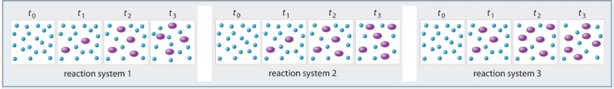 to
to
t2
reaction system 3
reaction system 2
reaction system 1
