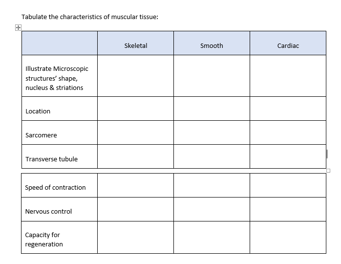 ++
Tabulate the characteristics of muscular tissue:
Illustrate Microscopic
structures' shape,
nucleus & striations
Location
Sarcomere
Transverse tubule
Speed of contraction
Nervous control
Capacity for
regeneration
Skeletal
Smooth
Cardiac