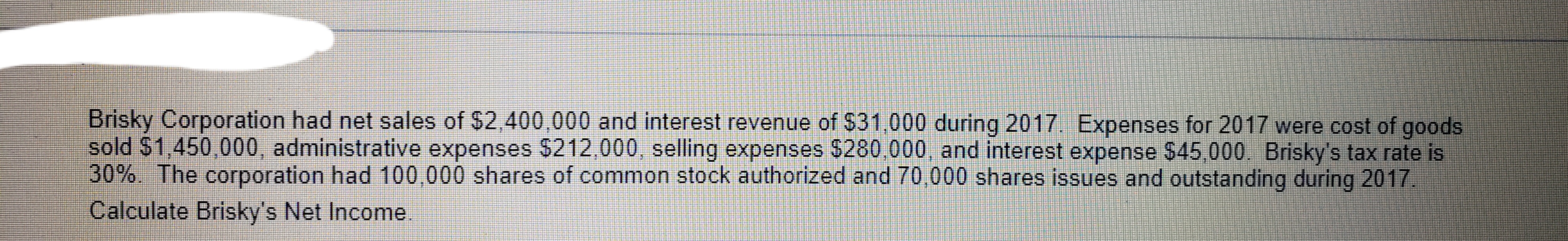 Calculate Brisky's Net Income.
