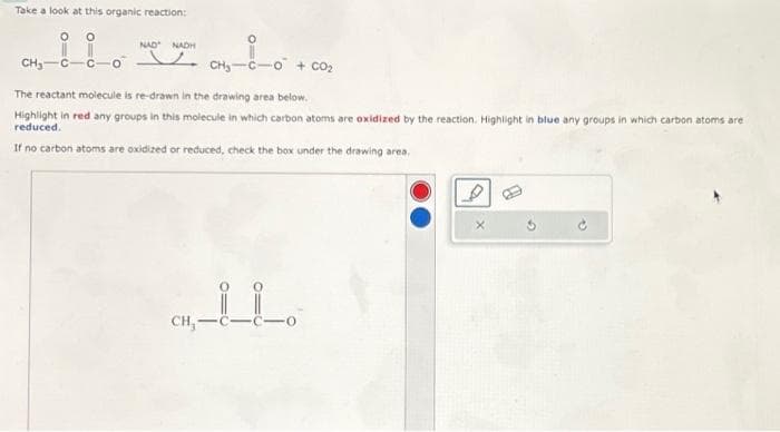 Take a look at this organic reaction:
!!.
NAD NADH
V
CH₂ C
CH, CÓ CO,.
The reactant molecule is re-drawn in the drawing area below.
Highlight in red any groups in this molecule in which carbon atoms are oxidized by the reaction. Highlight in blue any groups in which carbon atoms are
reduced.
If no carbon atoms are oxidized or reduced, check the box under the drawing area.
CH,-