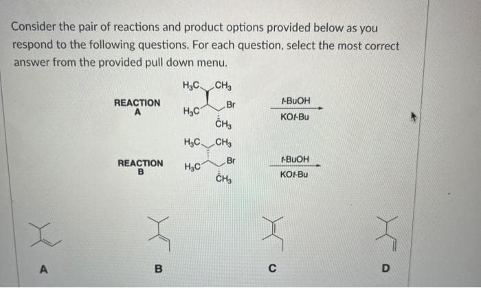 Consider the pair of reactions and product options provided below as you
respond to the following questions. For each question, select the most correct
answer from the provided pull down menu.
A
REACTION
A
REACTION
B
B
H₂C CH3
Br
H₂C
CH3
H₂C CH3
Br
H₂C
CH3
C
1-BUOH
KOI-Bu
-BUOH
KOI-Bu
D