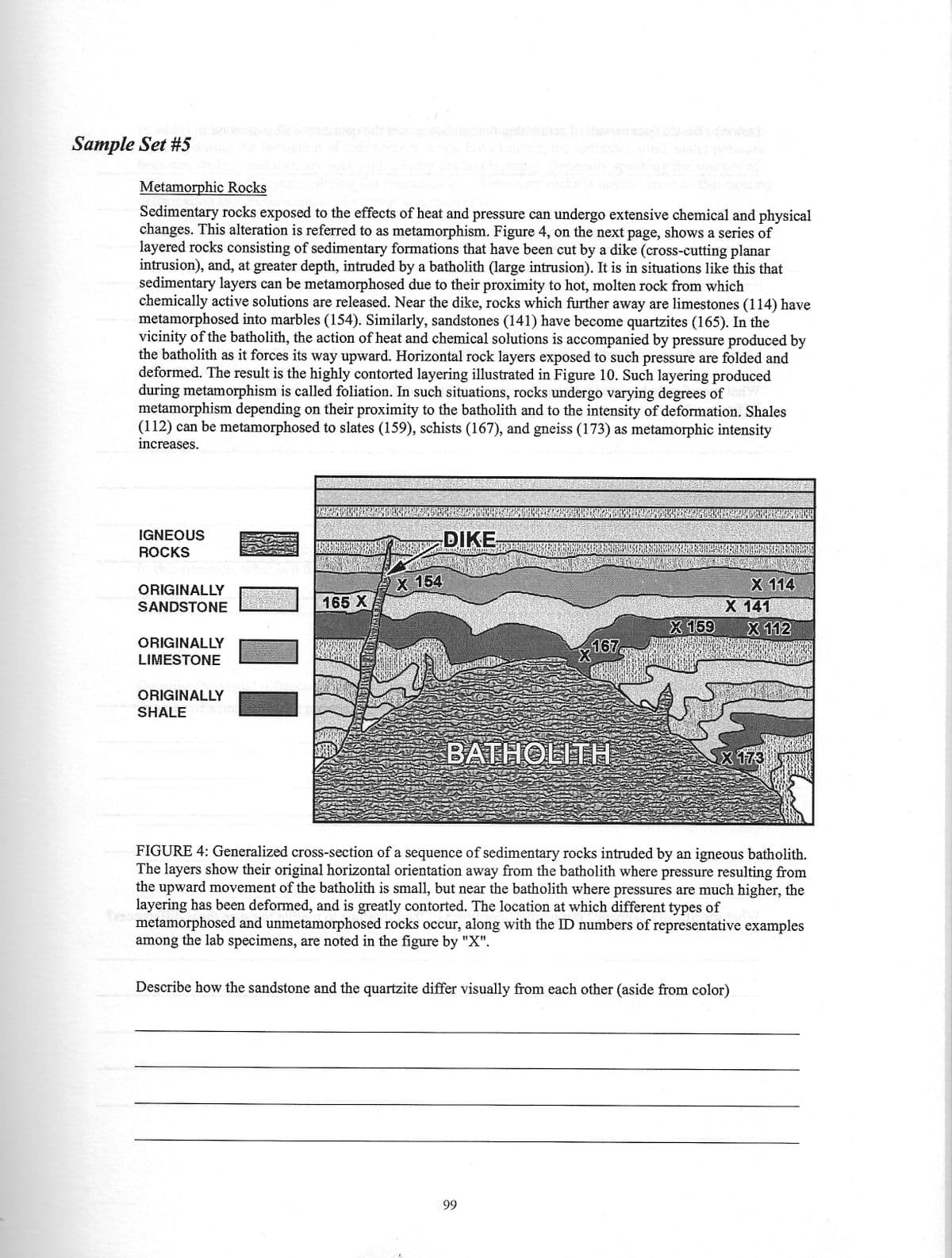 B
Sample Set #5
Metamorphic Rocks
Sedimentary rocks exposed to the effects of heat and pressure can undergo extensive chemical and physical
changes. This alteration is referred to as metamorphism. Figure 4, on the next page, shows a series of
layered rocks consisting of sedimentary formations that have been cut by a dike (cross-cutting planar
intrusion), and, at greater depth, intruded by a batholith (large intrusion). It is in situations like this that
sedimentary layers can be metamorphosed due to their proximity to hot, molten rock from which
chemically active solutions are released. Near the dike, rocks which further away are limestones (114) have
metamorphosed into marbles (154). Similarly, sandstones (141) have become quartzites (165). In the
vicinity of the batholith, the action of heat and chemical solutions is accompanied by pressure produced by
the batholith as it forces its way upward. Horizontal rock layers exposed to such pressure are folded and
deformed. The result is the highly contorted layering illustrated in Figure 10. Such layering produced
during metamorphism is called foliation. In such situations, rocks undergo varying degrees of
metamorphism depending on their proximity to the batholith and to the intensity of deformation. Shales
(112) can be metamorphosed to slates (159), schists (167), and gneiss (173) as metamorphic intensity
increases.
IGNEOUS
ROCKS
ORIGINALLY
SANDSTONE
ORIGINALLY
LIMESTONE
ORIGINALLY
SHALE
10
165 X
X 154
DIKE
X
167
BATHOLITH
99
X 159
X 114
X 141
X 112
X 173
FIGURE 4: Generalized cross-section of a sequence of sedimentary rocks intruded by an igneous batholith.
The layers show their original horizontal orientation away from the batholith where pressure resulting from
the upward movement of the batholith is small, but near the batholith where pressures are much higher, the
layering has been deformed, and is greatly contorted. The location at which different types of
metamorphosed and unmetamorphosed rocks occur, along with the ID numbers of representative examples
among the lab specimens, are noted in the figure by "X".
Describe how the sandstone and the quartzite differ visually from each other (aside from color)