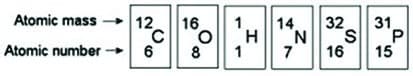 Atomic mass
12
16
14.
32
'N
16
31
H.
Atomic number 6
8
15
1,
