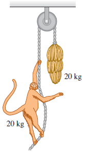 20 kg
20 kg
