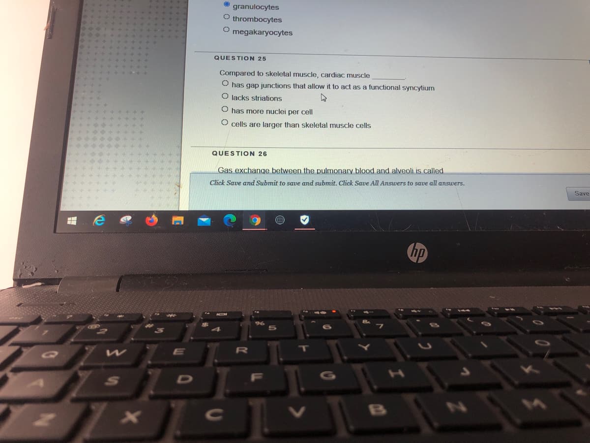 granulocytes
O thrombocytes
O megakaryocytes
QUESTION 25
Compared to skeletal muscle, cardiac muscle
O has gap junctions that allow it to act as a functional syncytium
O lacks striations
O has more nuclei per cell
cells are larger than skeletal muscle cells
...+
QUESTION 26
Gas exchange between the pulmonary blood and alveoli is called
Click Save and Submit to save and submit. Click Save All Answers to save all answers.
Save
hp
R
B
