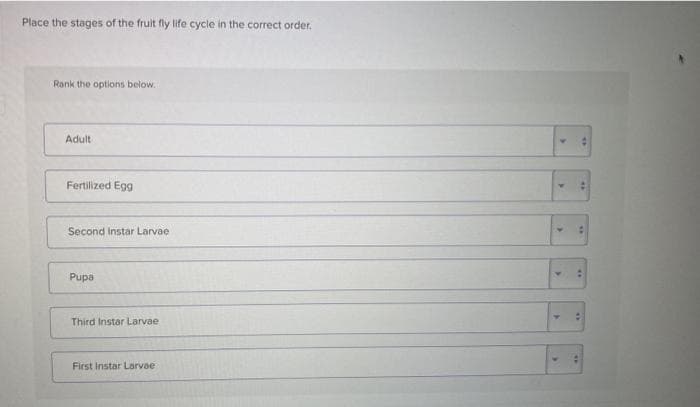 Place the stages of the fruit fly life cycle in the correct order.
Rank the options below.
Adult
Fertilized Egg
Second Instar Larvae
Pupa
Third Instar Larvae.
First Instar Larvae
>>
Sh
