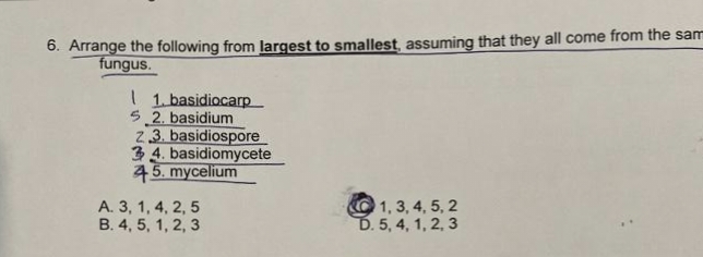 6. Arrange the following from largest to smallest, assuming that they all come from the sam
fungus.
1. basidiocarp
5.2. basidium
2.3. basidiospore
34. basidiomycete
45. mycelium
A. 3, 1, 4, 2, 5
B. 4, 5, 1, 2, 3
1, 3, 4, 5, 2
D. 5, 4, 1, 2, 3