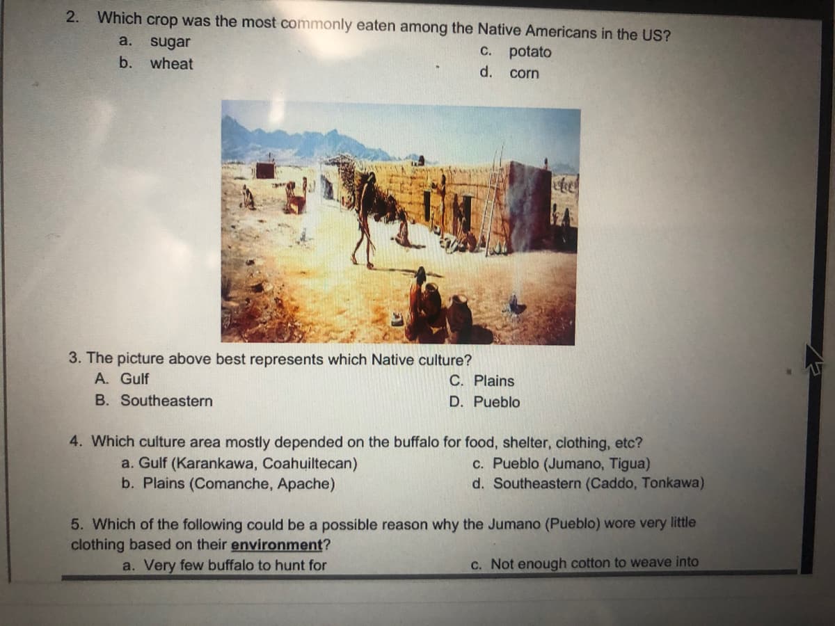 2.
Which crop was the most commonly eaten among the Native Americans in the US?
a.
sugar
b.
C. potato
wheat
d. corn
3. The picture above best represents which Native culture?
A. Gulf
C. Plains
B. Southeastern
D. Pueblo
4. Which culture area mostly depended on the buffalo for food, shelter, clothing, etc?
a. Gulf (Karankawa, Coahuiltecan)
b. Plains (Comanche, Apache)
c. Pueblo (Jumano, Tigua)
d. Southeastern (Caddo, Tonkawa)
5. Which of the following could be a possible reason why the Jumano (Pueblo) wore very little
clothing based on their environment?
a. Very few buffalo to hunt for
C. Not enough cotton to weave into
