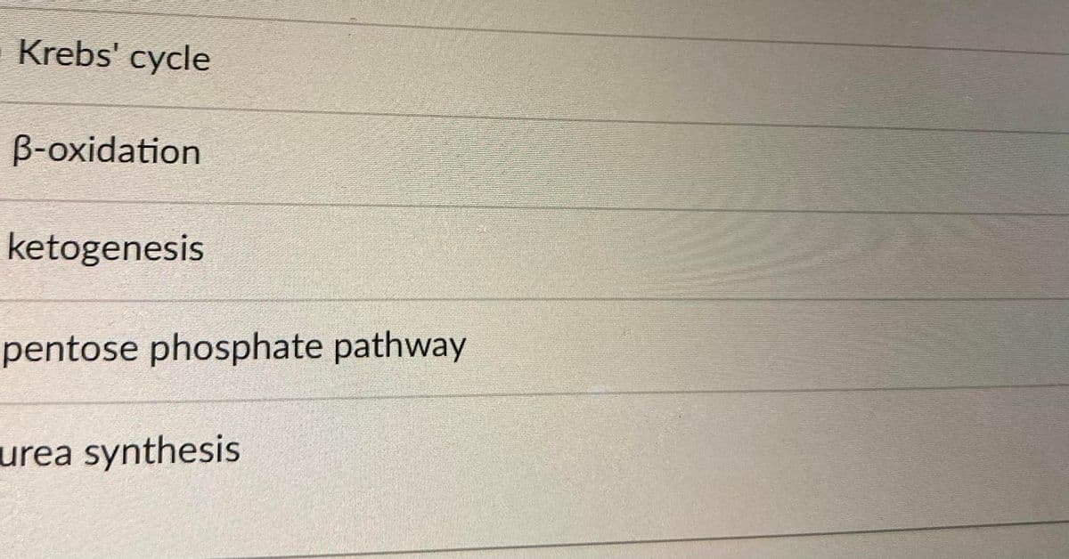Krebs' cycle
B-oxidation
ketogenesis
pentose phosphate pathway
urea synthesis
