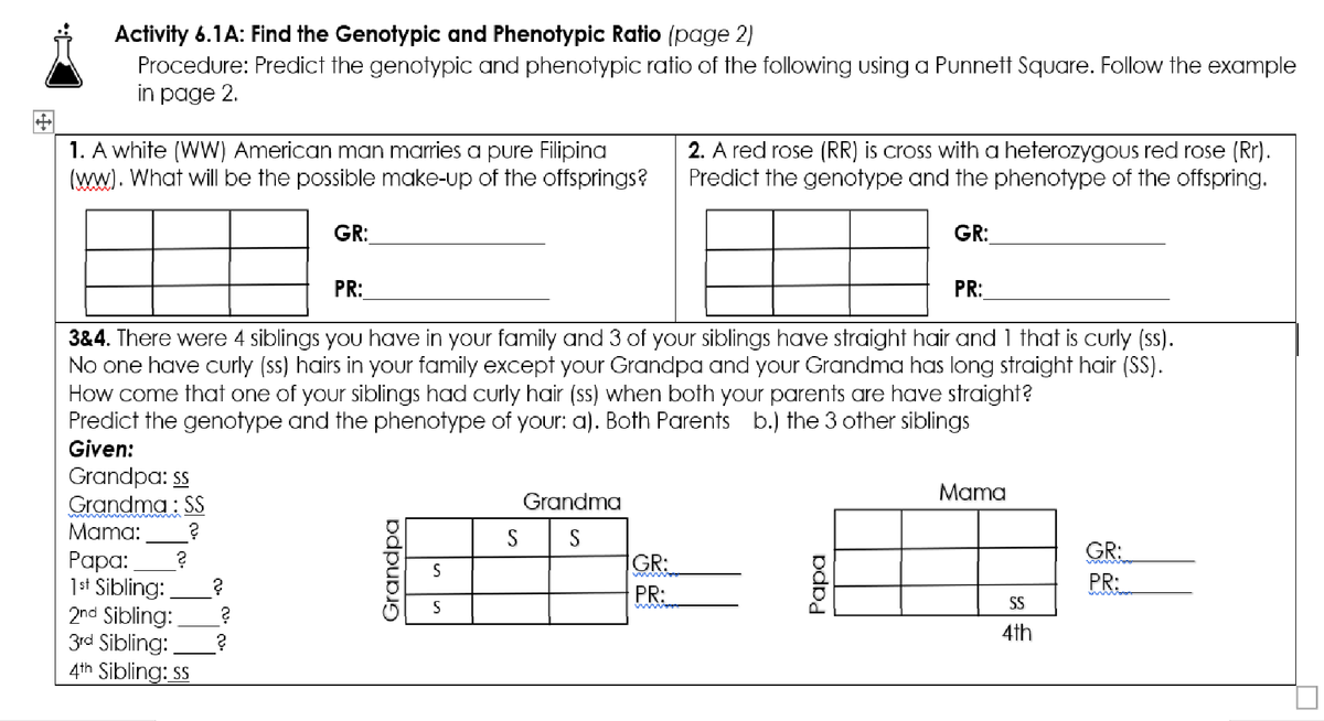 Activity 6.1A: Find the Genotypic and Phenotypic Ratio (page 2)
Procedure: Predict the genotypic and phenotypic ratio of the following using a Punnett Square. Follow the example
in page 2.
1. A white (WW) American man marries a pure Filipina
(ww). What will be the possible make-up of the offsprings?
2. A red rose (RR) is cross with a heterozygOus red rose (Rr).
Predict the genotype and the phenotype of the offspring.
GR:
GR:
PR:
PR:
3&4. There were 4 siblings you have in your family and 3 of your siblings have straight hair and 1 that is curly (ss).
No one have curly (ss) hairs in your family except your Grandpa and your Grandma has long straight hair (SS).
How come that one of your siblings had curly hair (ss) when both your parents are have straight?
Predict the genotype and the phenotype of your: a). Both Parents b.) the 3 other siblings
Given:
Grandpa: ss
Grandma : SS
Mama
Grandma
Mama:
S
S
GR:
PR:
GR:
Papa:
1st Sibling:
2nd Sibling:
3rd Sibling:
4th Sibling: ss
PR:
S
SS
4th
pdpupi)
