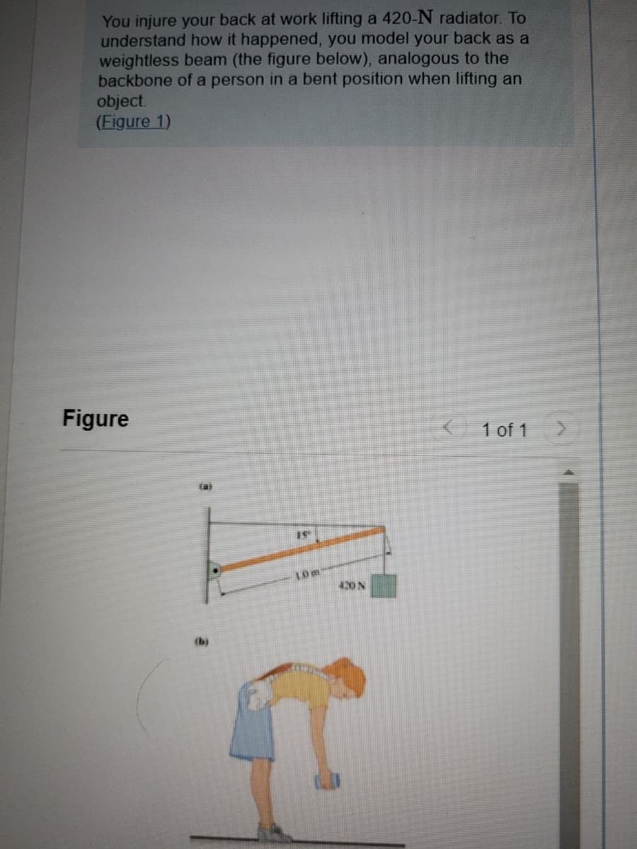 You injure your back at work lifting a 420-N radiator. To
understand how it happened, you model your back as a
weightless beam (the figure below), analogous to the
backbone of a person in a bent position when lifting an
object.
(Figure 1)
Figure
K1 of 1
(a
40N
(b)
