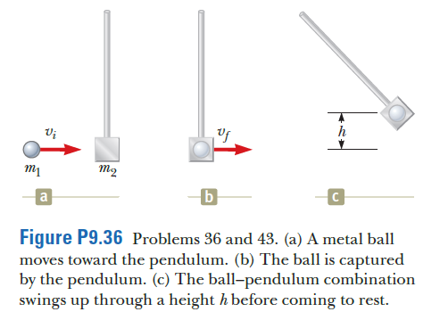 Vi
m2
a
b
Figure P9.36 Problems 36 and 43. (a) A metal ball
moves toward the pendulum. (b) The ball is captured
by the pendulum. (c) The ball-pendulum combination
swings up through a height h before coming to rest.
