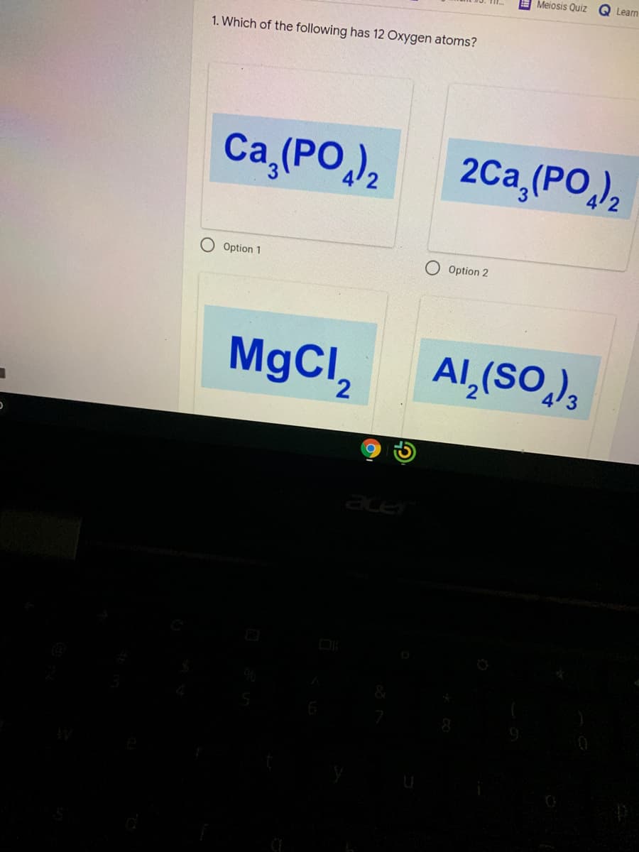 Meiosis Quiz
Learn
1. Which of the following has 12 Oxygen atoms?
Ca, (PO,),
2Ca,(PO,),
Option 1
Option 2
MgCl,
Al,(SO.),
2.
acer
