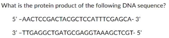 What is the protein product of the following DNA sequence?
5'-AACTCCGACTACGCTCCATTTCGAGCA-3'
3'-TTGAGGCTGATGCGAGGTAAAGCTCGT- 5'