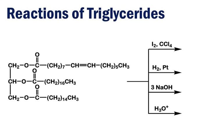 Reactions of Triglycerides
12, CI4
CH2-0-C-(CH2)7-CH=CH(CH2),CH3
На, Pt
ou
CH-O-C-(CH2)16CH3
3 NaOH
CH2-0-C-(CH2)14CH3
H30*
