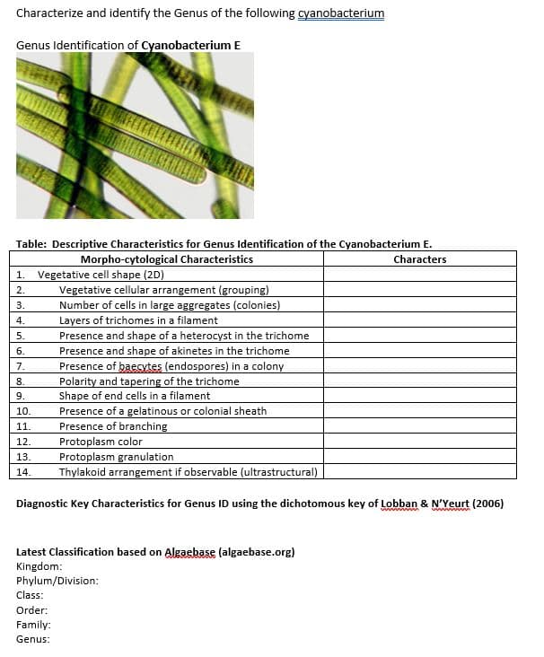 Characterize and identify the Genus of the following cyanobacterium
Genus Identification of Cyanobacterium E
Table: Descriptive Characteristics for Genus Identification of the Cyanobacterium E.
Morpho-cytological Characteristics
Characters
1. Vegetative cell shape (2D)
2.
3.
4.
5.
6.
7.
8.
9.
10.
11.
12.
13.
14.
EXT
Vegetative cellular arrangement (grouping)
Class:
Order:
Family:
Genus:
Number of cells in large aggregates (colonies)
Layers of trichomes in a filament
Presence and shape of a heterocyst in the trichome
Presence and shape of akinetes in the trichome
Presence of baecytes (endospores) in a colony
Polarity and tapering of the trichome
Shape of end cells in a filament
Presence of a gelatinous or colonial sheath
Presence of branching
Protoplasm color
Protoplasm granulation
Thylakoid arrangement if observable (ultrastructural)
Diagnostic Key Characteristics for Genus ID using the dichotomous key of Lobban & N'Yeurt (2006)
wwwwwwww
Latest Classification based on Algaebase (algaebase.org)
Kingdom:
Phylum/Division: