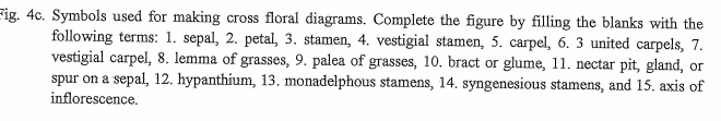 Fig. 4c. Symbols used for making cross floral diagrams. Complete the figure by filling the blanks with the
following terms: 1. sepal, 2. petal, 3. stamen, 4. vestigial stamen, 5. carpel, 6. 3 united carpels, 7.
vestigial carpel, 8. lemma of grasses, 9. palea of grasses, 10. bract or glume, 11. nectar pit, gland, or
spur on a sepal, 12. hypanthium, 13. monadelphous stamens, 14. syngenesious stamens, and 15. axis of
inflorescence.
