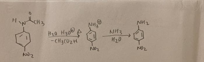 H
NH2
NH3
- CH3(02H
NO2
NO2
