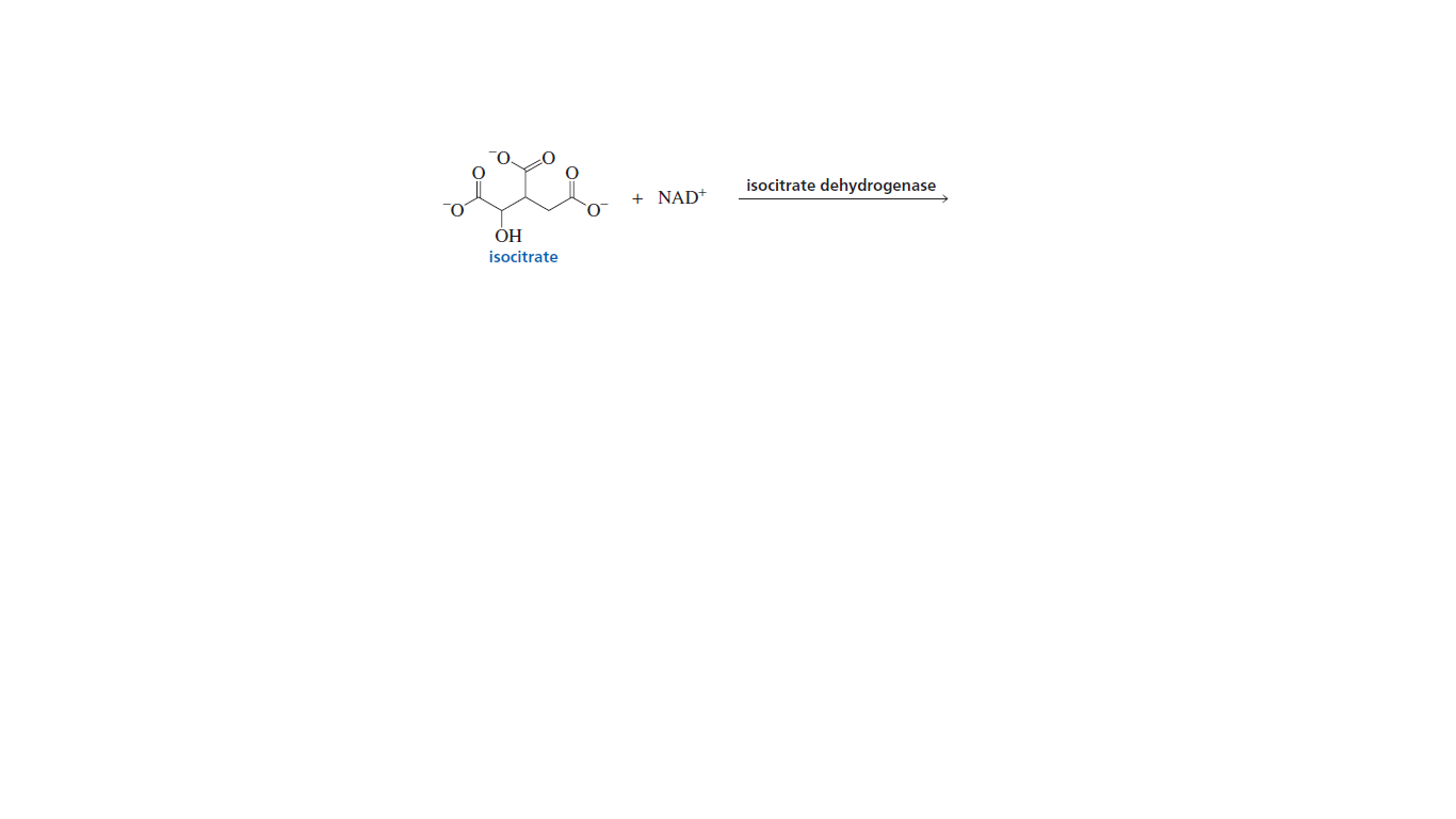 O.
isocitrate dehydrogenase
+ NAD+
ОН
isocitrate
