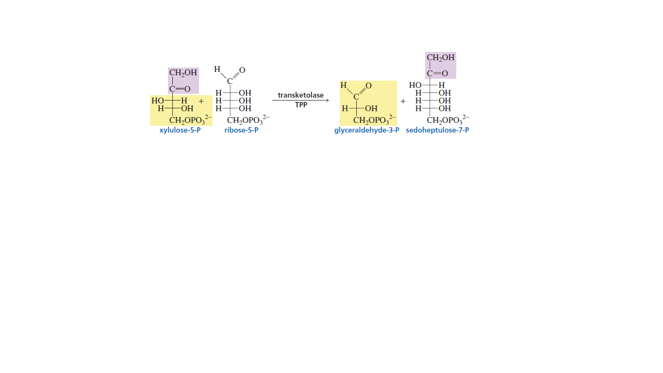 CH2OH
H
CH,OH
C=0
Но
H-
H
H-
H
H.
OH
-HO-
-ОН
C=0
H
H
H
HO-
transketolase
--
H-
-ОН
НО-
НО-
Но-
+
ТРР
H-
-O-
CH,OPO,
хylulose-5-P
CH,OPO,-
glyceraldehyde-3-P sedoheptulose-7-P
ČH,OPO,?-
ČH,OPO,-
ribose-5-P
