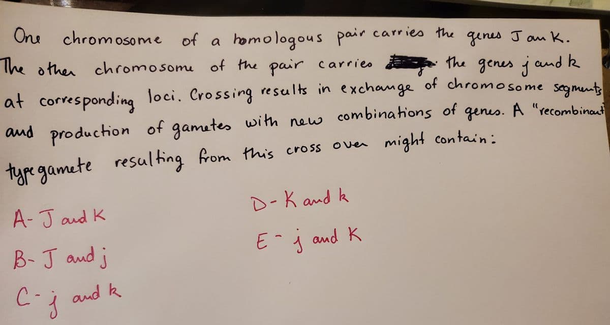 One
chromosome of a homologous pair carries the
genes J am K.
The othen chromosome of the pair carries the genes j and k
at corresponding loci. Crossing results in exchange
of chromosome segments
and production of gametes
combinations of
genes. A "recombinaut
new
typegamete
resulfing from this cross oven might contain:
A-Jaud K
D-K and k
B-J aud j
E-j and K
and k
