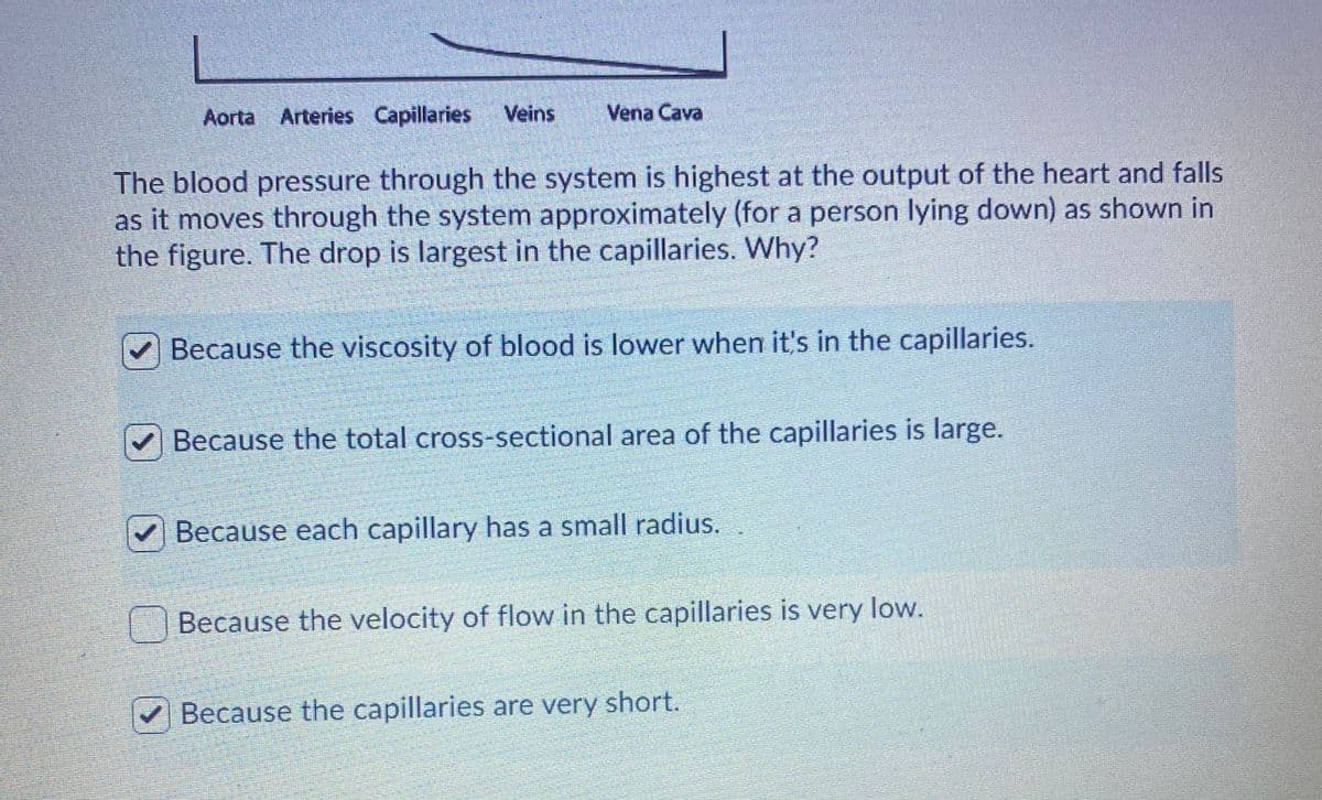Aorta Arteries Capillaries
Veins
Vena Cava
The blood pressure through the system is highest at the output of the heart and falls
as it moves through the system approximately (for a person lying down) as shown in
the figure. The drop is largest in the capillaries. Why?
Because the viscosity of blood is lower when it's in the capillaries.
Because the total cross-sectional area of the capillaries is large.
Because each capillary has a small radius.
Because the velocity of flow in the capillaries is very low.
Because the capillaries are very short.
