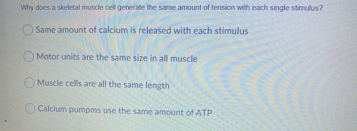 Why does a skeletal muscle cell generate the same amount of tension with each single stimulus?
O Same amount of calcium is released with each stimulus
Motor units are the same size in all muscle
OMuscle cells are all the same length
Calcium pumpms use the same amount of ATP
