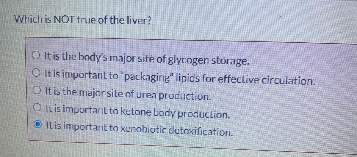 Which is NOT true of the liver?
O Itis the body's major site of glycogen stórage.
O It is important to "packaging" lipids for effective circulation.
O It is the major site of urea production.
O It is important to ketone body production.
OIt is important to xenobiotic detoxification.
