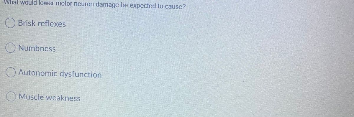 What would lower motor neuron damage be expected to cause?
OBrisk reflexes
O Numbness
O Autonomic dysfunction
O Muscle weakness
