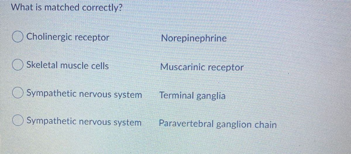 What is matched correctly?
O Cholinergic receptor
Norepinephrine
() Skeletal muscle cells
Muscarinic receptor
Sympathetic nervous system
Terminal ganglia
O Sympathetic nervous system
Paravertebral ganglion chain
