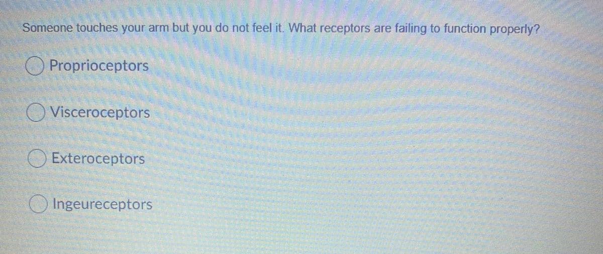 Someone touches your arm but you do not feel it. What receptors are failing to function properly?
OProprioceptors
O Visceroceptors
OExteroceptors
OIngeureceptors
