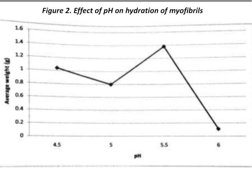 Figure 2. Effect of pH on hydration of myofibrils
1.6
1.4
1.2
0.8
0.6
0.4
0.2
4.5
5.5
pH
Average weight (g)
