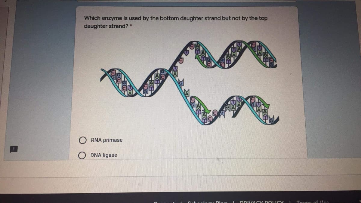 Which enzyme is used by the bottom daughter strand but not by the top
daughter strand? *
RNA primase
DNA ligase
DDIVA CY DOLICY
