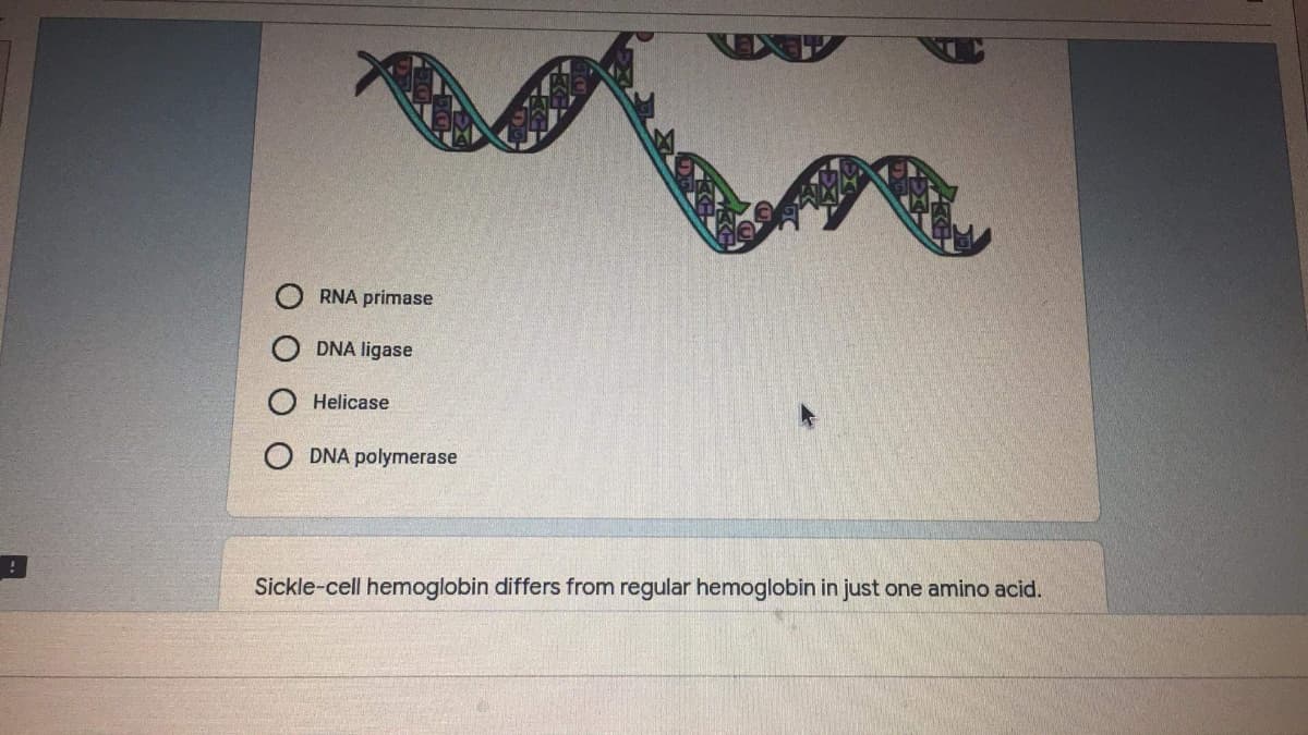 RNA primase
DNA ligase
Helicase
DNA polymerase
Sickle-cell hemoglobin differs from regular hemoglobin in just one amino acid.
