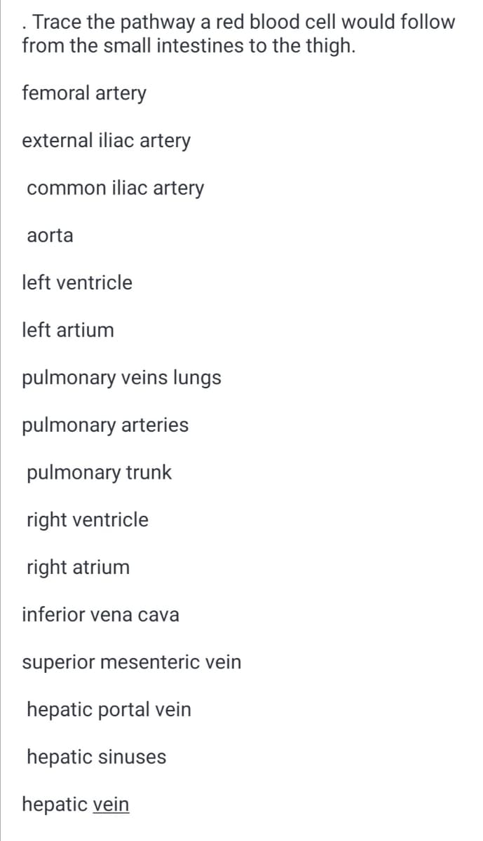 . Trace the pathway a red blood cell would follow
from the small intestines to the thigh.
femoral artery
external iliac artery
common iliac artery
aorta
left ventricle
left artium
pulmonary veins lungs
pulmonary arteries
pulmonary trunk
right ventricle
right atrium
inferior vena cava
superior mesenteric vein
hepatic portal vein
hepatic sinuses
hepatic vein
