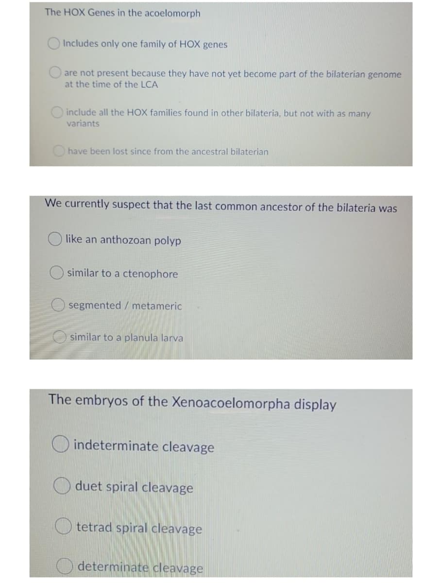 The HOX Genes in the acoelomorph
Includes only one family of HOX genes
are not present because they have not yet become part of the bilaterian genome
at the time of the LCA
include all the HOX families found in other bilateria, but not with as many
variants
have been lost since from the ancestral bilaterian
We currently suspect that the last common ancestor of the bilateria was
like an anthozoan polyp
similar to a ctenophore
O segmented /metameric
O similar to a planula larva
The embryos of the Xenoacoelomorpha display
O indeterminate cleavage
duet spiral cleavage
O tetrad spiral cleavage
determinate cleavage
