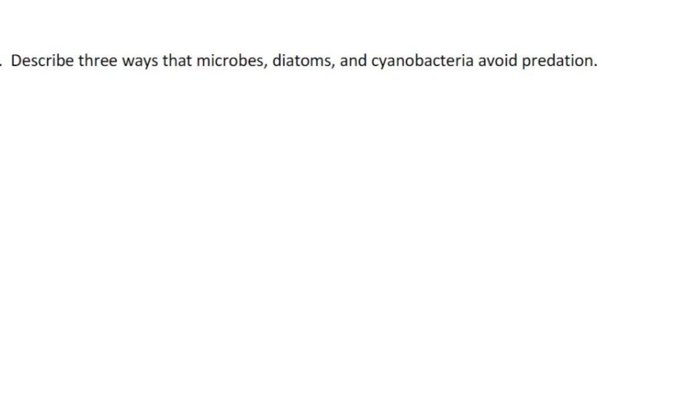 Describe three ways that microbes, diatoms, and cyanobacteria avoid predation.
