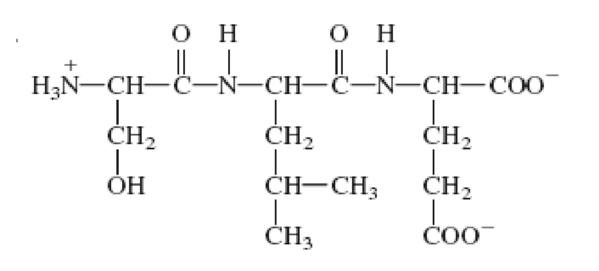 O H
он
+
H,N-CH-C-N-CH-C-Ñ-CH-CO0
CH2
CH,
CH2
OH
ČH-CH3
CH,
CH2
doo
ČO0O
