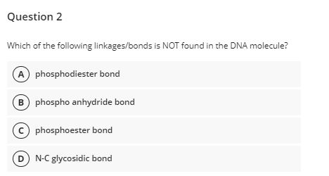 Question 2
Which of the following linkages/bonds is NOT found in the DNA molecule?
A phosphodiester bond
B phospho anhydride bond
C phosphoester bond
D N-C glycosidic bond

