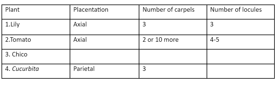 Plant
Placentation
Number of carpels
Number of locules
1.Lily
Аxial
3
3
2.Tomato
Axial
2 or 10 more
4-5
3. Chico
4. Cucurbita
Parietal
3
