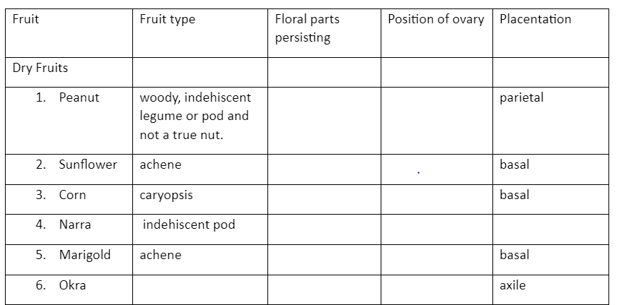 Fruit
Fruit type
Floral parts
Position of ovary Placentation
persisting
Dry Fruits
woody, indehiscent
legume or pod and
1. Peanut
parietal
not a true nut.
2. Sunflower
achene
basal
3. Corn
caryopsis
basal
4. Narra
indehiscent pod
5. Marigold
achene
basal
6. Okra
axile
