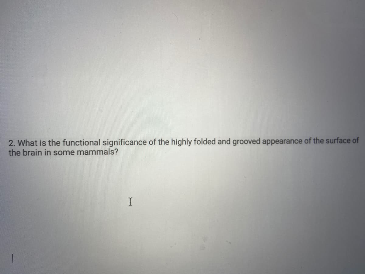 2. What is the functional significance of the highly folded and grooved appearance of the surface of
the brain in some mammals?
