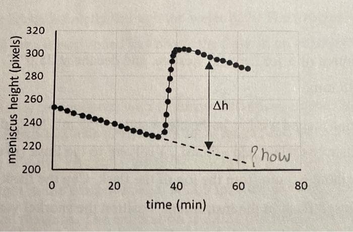 320
300
280
260
Ah
240
220
?how
200
20
40
60
80
time (min)
meniscus height (pixels)

