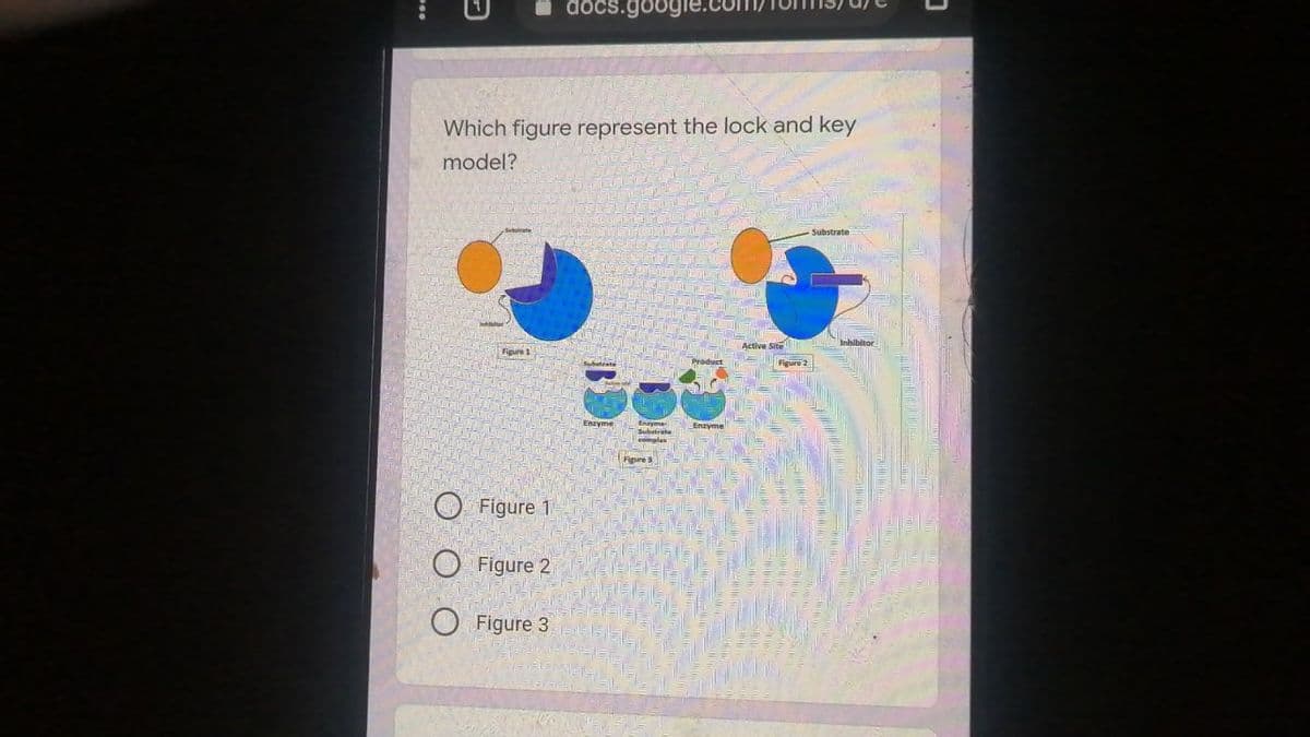 docs.google.c
Which figure represent the lock and key
model?
Substrate
Active Site
Figure 1
Figure 2
Enzyme
Eneyme
Sultrate
eemale
Fipure
O Figure 1
O Figure 2
O Figure 3
...
